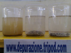 01032007045.jpg